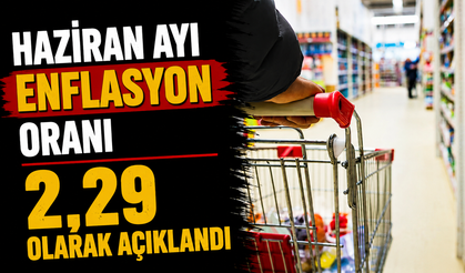 Haziran ayı enflasyon oranı 2,29 olarak açıklandı
