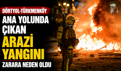 Dörtyol-Türkmenköy ana yolunda çıkan arazi yangını zarara neden oldu