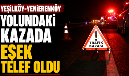 Yeşilköy-Yenierenköy yolundaki kazada eşek telef oldu