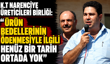 K.T Narenciye Üreticileri Birliği: "Ürün bedellerinin ödenmesiyle ilgili henüz bir tarih ortada yok"