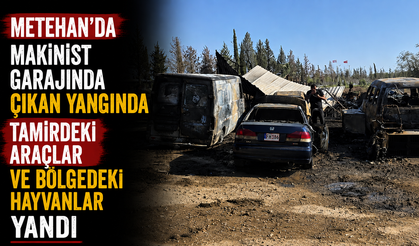 Metehan'da makinist garajında çıkan yangında tamirdeki araçlar ve bölgedeki hayvanlar yandı
