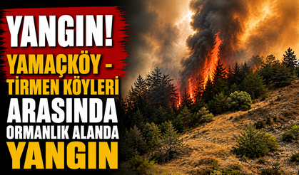 Yamaçköy - Tirmen köyleri arasında ormanlık alanda yangın...