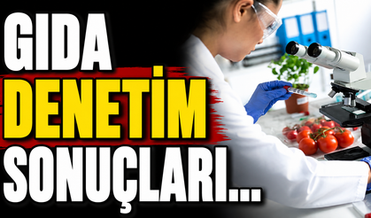Gıda denetim sonuçları…