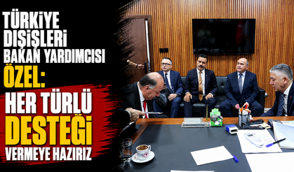 Türkiye Dışişleri Bakan Yardımcısı Özel: Her türlü desteği vermeye hazırız