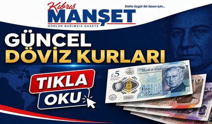 Döviz kurları