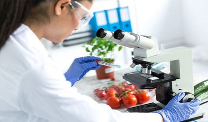 Haftalık gıda denetimleri...İthal ürünlerden elmada limit üstü bitki koruma ürünü
