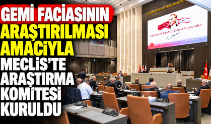 Gemi faciasının araştırılması amacıyla Meclis'te araştırma komitesi kuruldu
