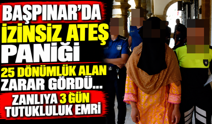 Başpınar’da izinsiz ateş paniği: 25 dönümlük alan zarar gördü… Zanlıya 3 gün tutukluluk emri