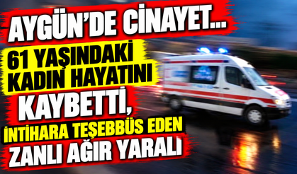 Aygün’de cinayet… 61 yaşındaki kadın hayatını kaybetti, intihara teşebbüs eden zanlı ağır yaralı