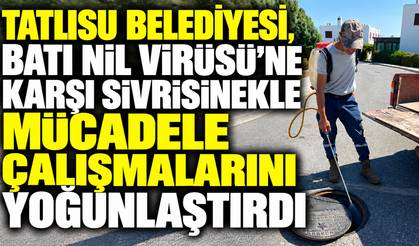 Tatlısu Belediyesi, Batı Nil Virüsü’ne karşı sivrisinekle mücadele çalışmalarını yoğunlaştırdı