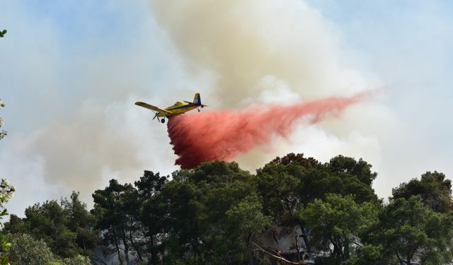 Antalya'da çıkan orman yangını kontrol altına alındı