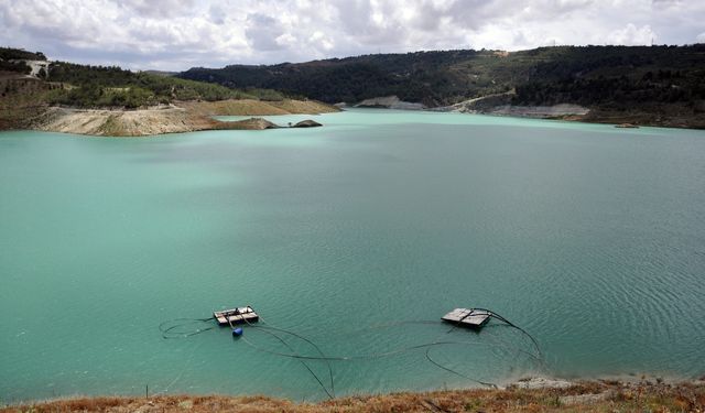 Narenciye Üreticiler Birliği'nden su dağıtımında adalet ve planlama çağrısı