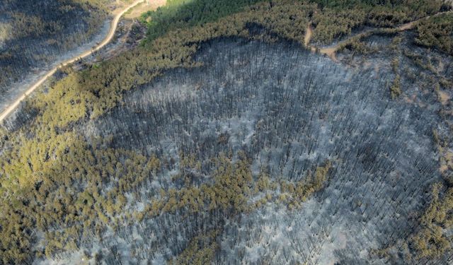 Karabük'te orman yangınlarında zarar gören alanlar havadan görüntülendi