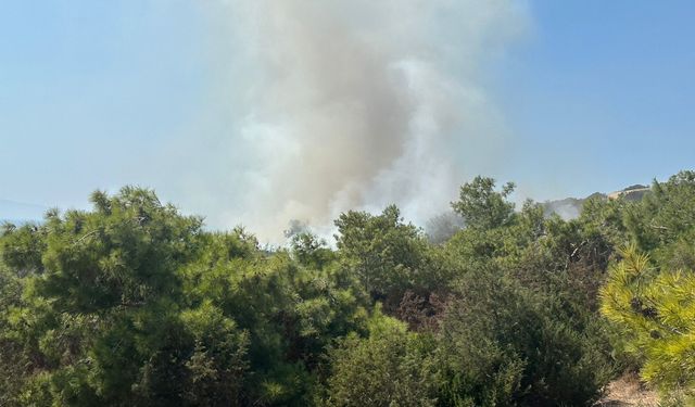 Akdeniz köyünde yangın çıktı