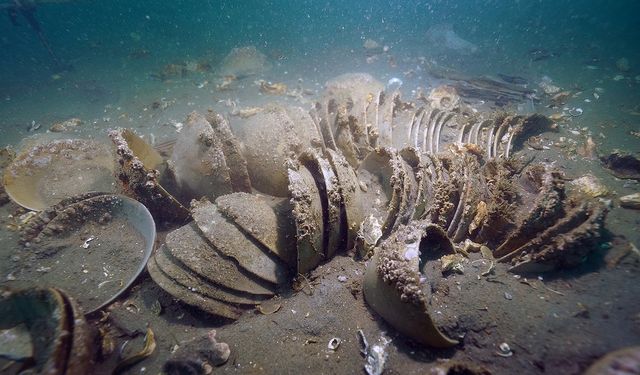 Güney Kore'nin batı kıyısında 600 yıllık kargo gemisi gün yüzüne çıkarıldı