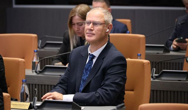 Hasipoğlu, HP'deki düzenlemeyle ilgili konuştu