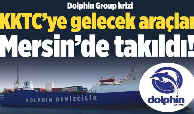 Dolphin Group krizi
