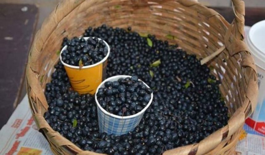 Yaban mersini
Yüksek oranda antioksidan içeren yaban mersini beynin daha uzun süre sağlıklı kalmasını sağlar.Aynı zamanda hafızayı da geliştiren bu besin beyini strese karşı da koruyor.

Sinir hücrelerini etkileyen yaban mersini beynin bellek kısmında da olumlu etkileşimler yapıyor ve unutkanlığa iyi geliyor.