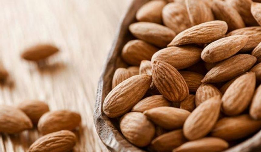 Badem
E vitamini yönünden oldukça zengin olan badem ilerleyen yaş ile birlikte beyinde oluşacak yaşlanmayı engellemektedir. Bunun yanı sıra beyin gelişimi ve sağlığı için de badem harika bir besindir.

Ayrıca fındık,ceviz,fıstık,ay çekirdeği gibi besinler de beyin sağlığı açısından tüketilmesi gereken besinlerdir.