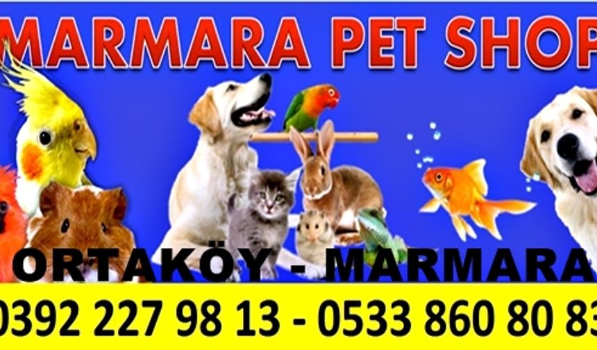 Marmara Petshop