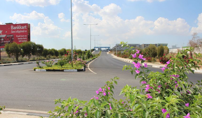 Ercan Havalimanı’nda peyzaj çalışmalarında Kıbrıs'a özgü bitkiler ekildi