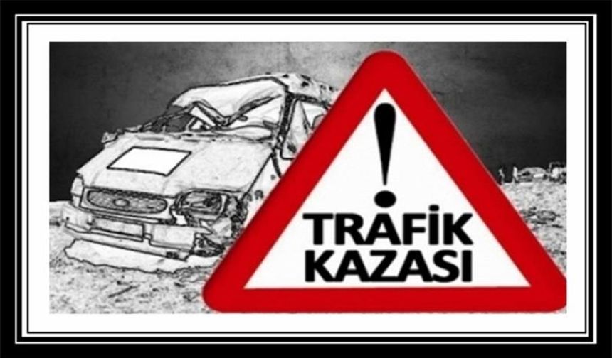 Alkollü sürücü refüjdeki aydınlatma direğine çarptı