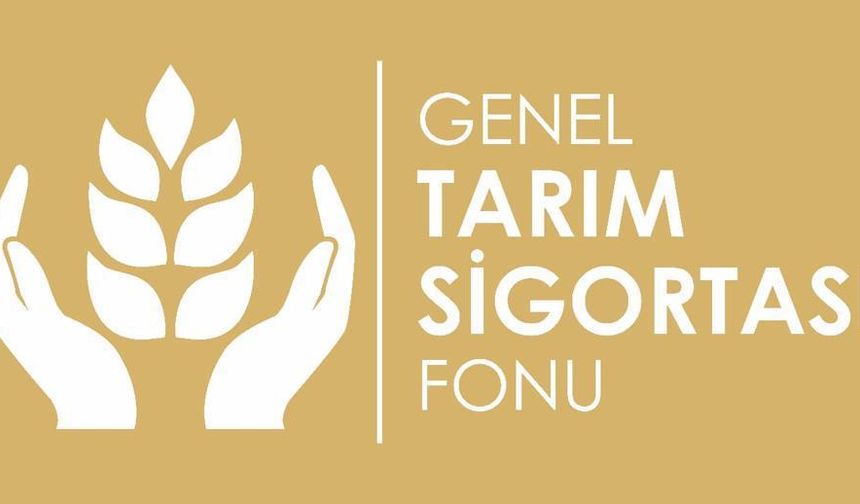 Doludan zarar gören sonbahar patates üreticilerinden itiraz alınacak