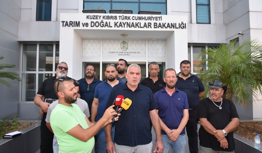 Hayvan üreticileri hükümete seslendi: “Artık planlı üretim yapmak istiyoruz”
