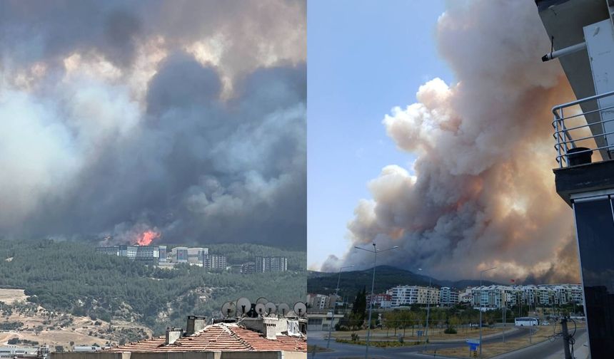 Çanakkale'nin Bayramiç ilçesinde çıkan orman yangını nedeniyle 3 köy boşaltıldı