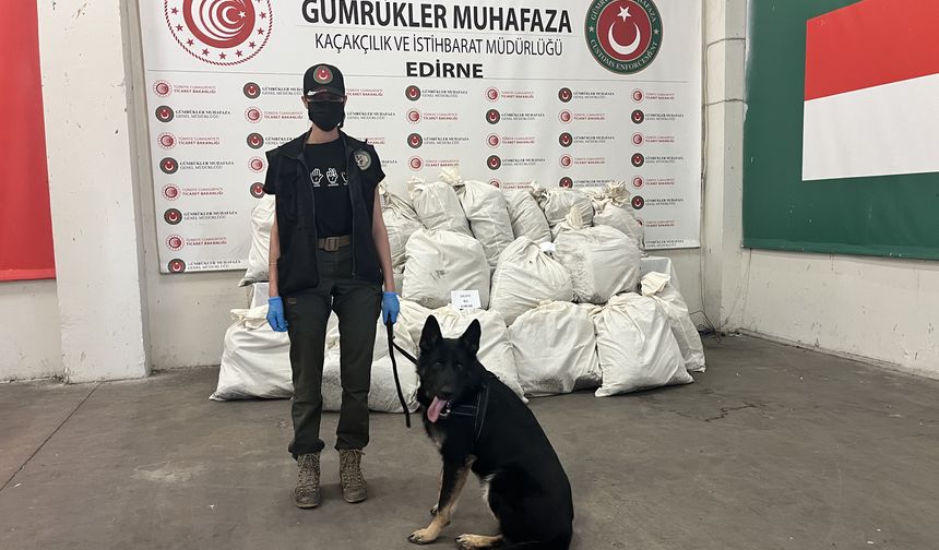 Kapıkule'deki iki operasyonda 245 kilo 932 gram esrar ele geçirildi