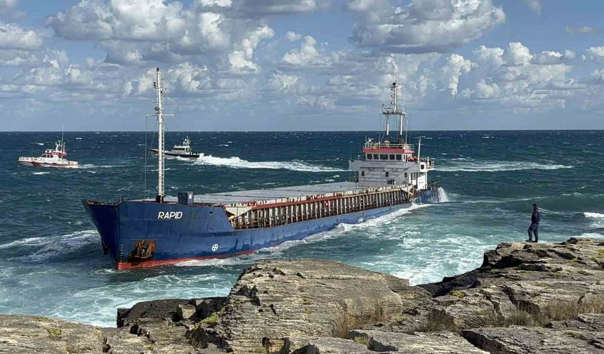 Kocaeli'de kuru yük gemisi karaya oturdu