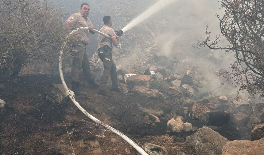 Boğazköy’de çıkan yangın, ekiplerin müdahalesiyle kontrol altına alındı