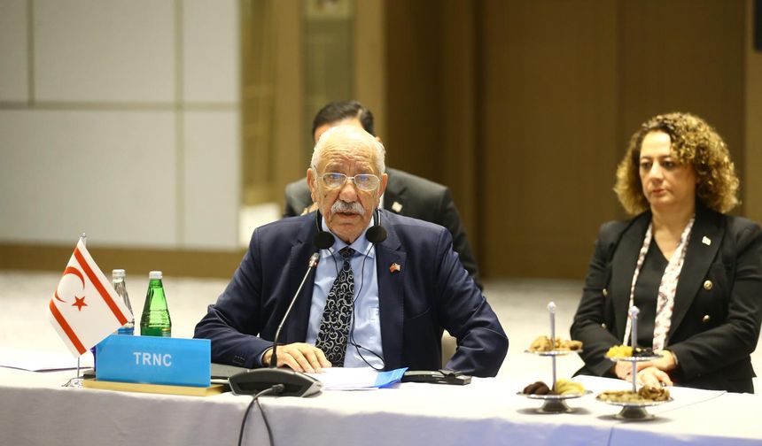 TDT Aksakallar Konseyi 18. Toplantısı’nda KKTC'yi Oktay Öksüzoğlu temsil etti