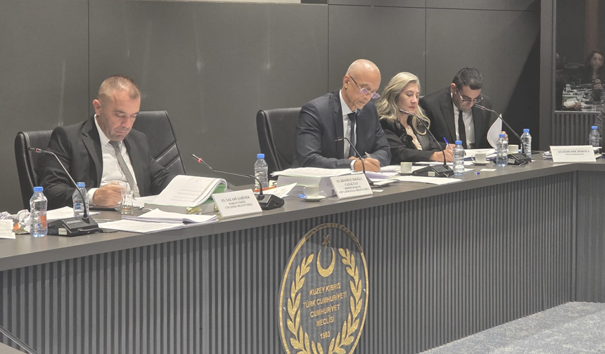 Sayıştay Başkanlığı bütçesi onaylandı; Komite’nin bugünkü toplantısı sona erdi