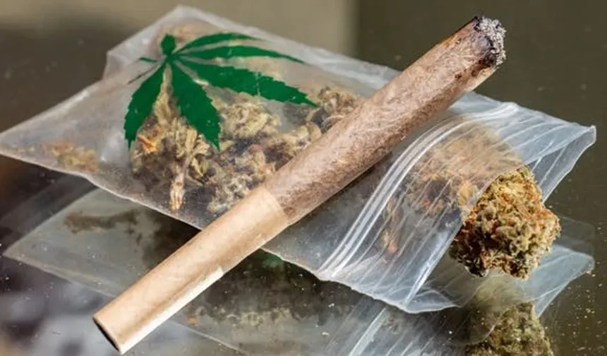 Belçika'da yılbaşından bu yana 20 tona yakın esrar ele geçirildi