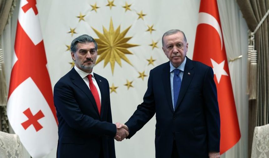 TC Cumhurbaşkanı Erdoğan, Gürcistan Cumhurbaşkanı Kavelaşvili ile telefonda görüştü