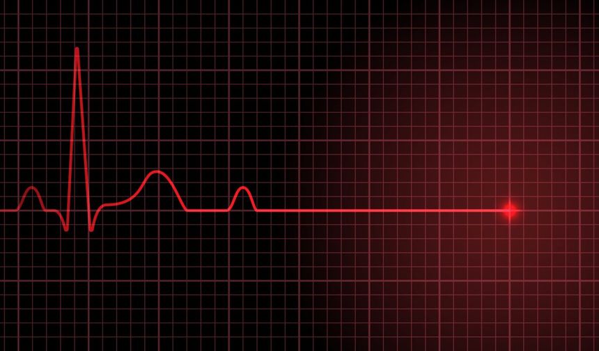 Alacan ile Kırar'ın ölüm sebebi kalp rahatsızlığı