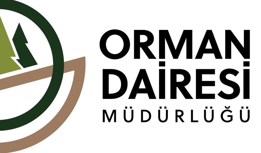 Orman Dairesi: Boğazköy'deki ağaç kesimi izinsiz yapıldı.. Yasal işlemler başlatıldı