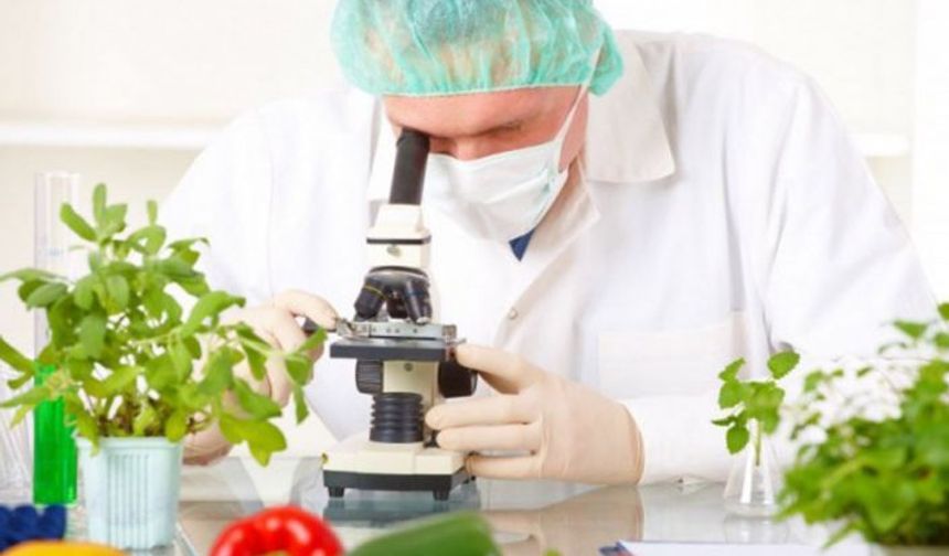 Haftalık gıda denetim sonuçları açıklandı…Yerli ürünlerde limit üstü bitki koruma ürünü içeren dört numuneye rastlandı