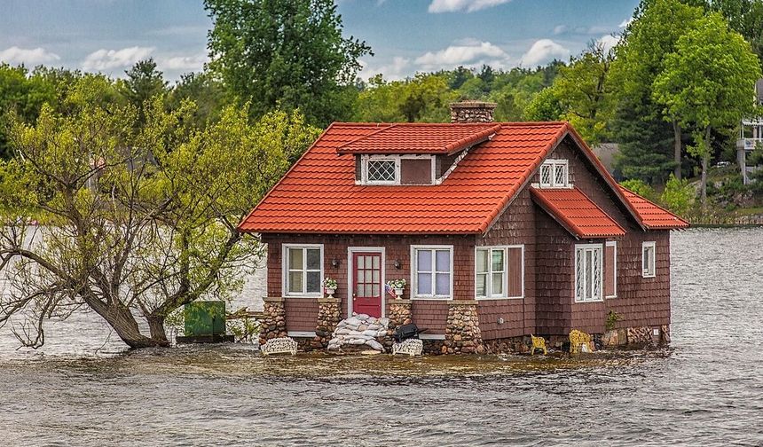 Stüdyo Daire Gibi Ada! Dünyanın En Küçük Adasına Sadece 1 Ev ve 1 Ağaç Sığıyor