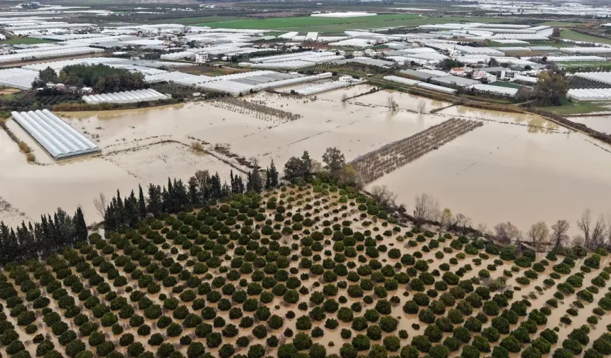 'Sarı kod'la uyarılan Antalya'da tarım alanları su altında kaldı