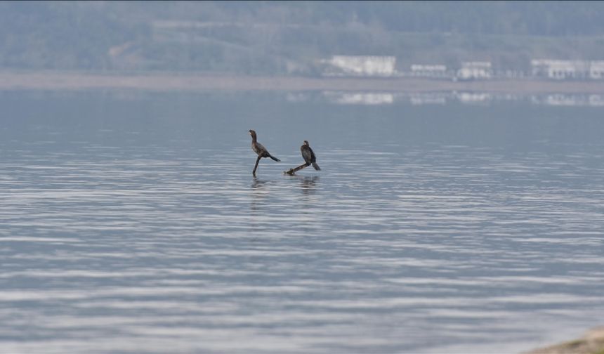 Sapanca Gölü'nde su seviyesi son yağışlarla 8 santimetre arttı