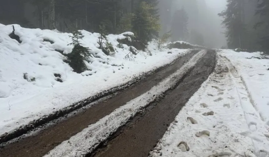 Doğu Anadolu’da kar ulaşımı vurdu: 4 ilde 530 yerleşim yerinin yolu kapalı