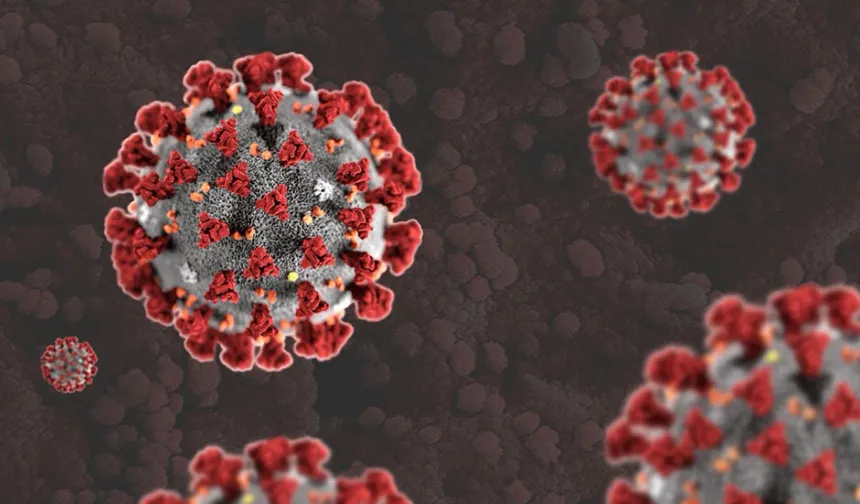 Araştırma: Ölümcül mantar enfeksiyonlarına karşı yeni bir yöntem bulundu