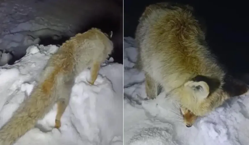 Yıllarca anlatılan efsane gerçek oldu