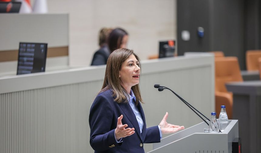 İncirli'nin Meclis konuşması...