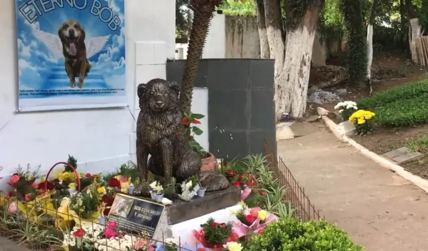 Brezilya'da evcil hayvanlar sahipleriyle birlikte gömülebilecek! "Mezarcı Bob" ilham oldu