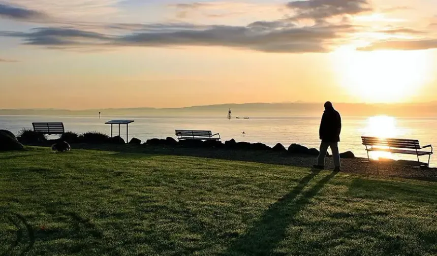 En yalnız meslekler belli oldu: 14 saati yalnız geçiriyorlar