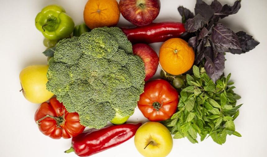 FAO: Küresel gıda fiyatları 5 ay sonra yeniden yükselişe geçti