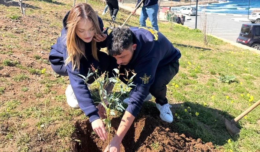 KKTC Fenerbahçeliler Derneği, Şampiyon Melekler Hatıra Ormanı’na fidan dikti